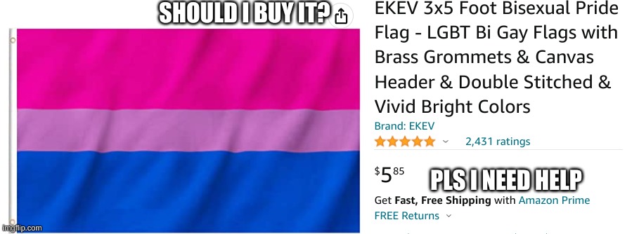 bi flag sturggle should I? | SHOULD I BUY IT? PLS I NEED HELP | image tagged in bisexual,flag | made w/ Imgflip meme maker