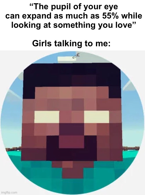 “The pupil of your eye can expand as much as 55% while looking at something you love”; Girls talking to me: | image tagged in minecraft,herobrine,minecraft memes | made w/ Imgflip meme maker