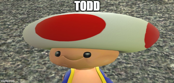 the skrunkly | TODD | image tagged in toad | made w/ Imgflip meme maker