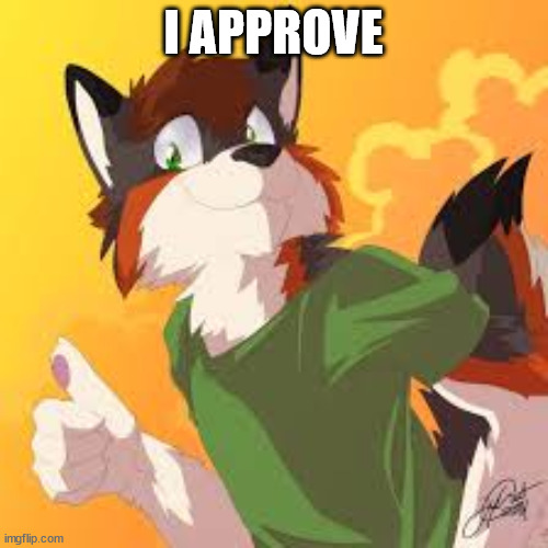 Furry thumbs up | I APPROVE | image tagged in furry thumbs up | made w/ Imgflip meme maker