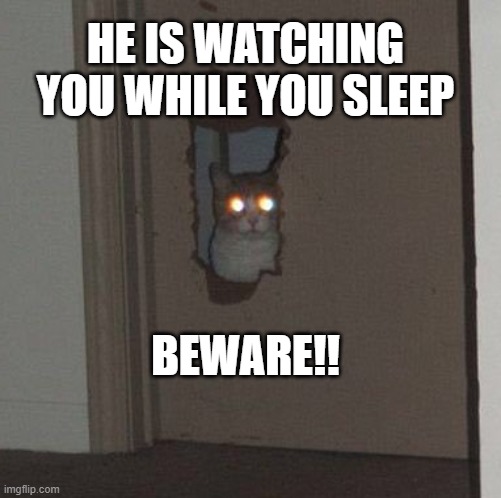 He Is Watching You While You Sleep | HE IS WATCHING YOU WHILE YOU SLEEP; BEWARE!! | image tagged in cat staring through the door,cat,creepy,scary,sleep,sus | made w/ Imgflip meme maker