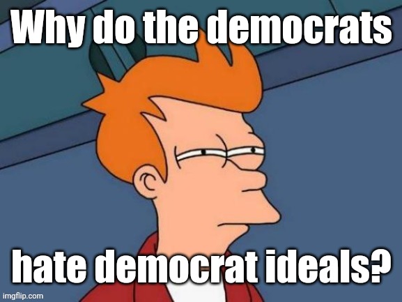 Fry is not sure... | Why do the democrats hate democrat ideals? | image tagged in fry is not sure | made w/ Imgflip meme maker