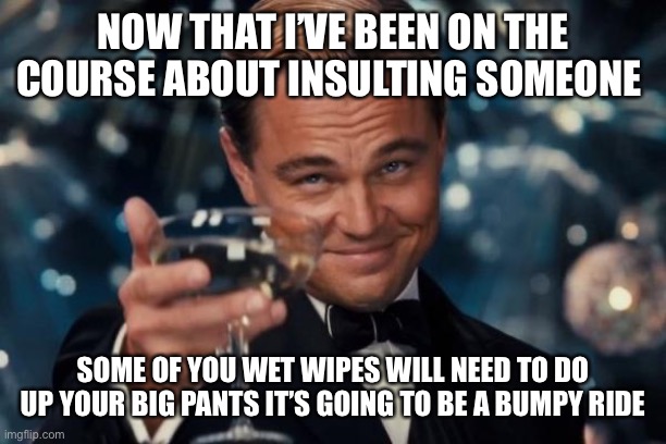 Leonardo Dicaprio Cheers Meme | NOW THAT I’VE BEEN ON THE COURSE ABOUT INSULTING SOMEONE; SOME OF YOU WET WIPES WILL NEED TO DO UP YOUR BIG PANTS IT’S GOING TO BE A BUMPY RIDE | image tagged in memes,leonardo dicaprio cheers | made w/ Imgflip meme maker