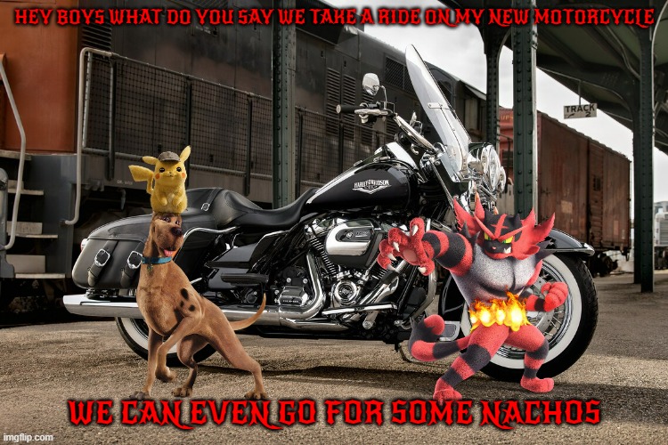 incineroar's new ride | HEY BOYS WHAT DO YOU SAY WE TAKE A RIDE ON MY NEW MOTORCYCLE; WE CAN EVEN GO FOR SOME NACHOS | image tagged in harley davidson road king classic,dogs,cats,pokemon,buddies | made w/ Imgflip meme maker