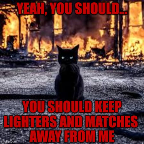 YEAH, YOU SHOULD... YOU SHOULD KEEP LIGHTERS AND MATCHES; AWAY FROM ME | image tagged in arson,cat | made w/ Imgflip meme maker