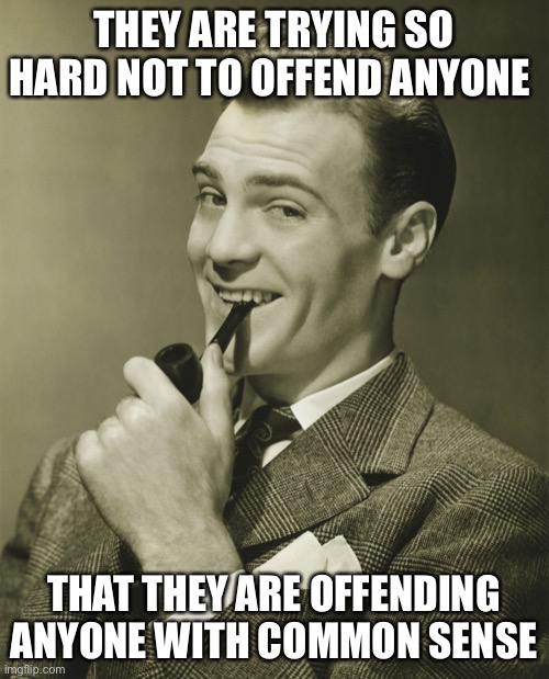 Smug | THEY ARE TRYING SO HARD NOT TO OFFEND ANYONE THAT THEY ARE OFFENDING ANYONE WITH COMMON SENSE | image tagged in smug | made w/ Imgflip meme maker