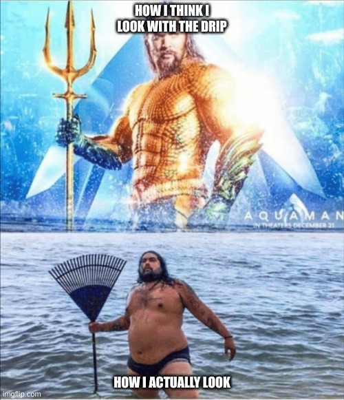 high quality vs low quality Aquaman | HOW I THINK I LOOK WITH THE DRIP; HOW I ACTUALLY LOOK | image tagged in high quality vs low quality aquaman | made w/ Imgflip meme maker
