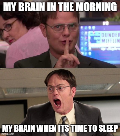 my brain day vs night | MY BRAIN IN THE MORNING; MY BRAIN WHEN ITS TIME TO SLEEP | image tagged in quiet yelling,day time,night | made w/ Imgflip meme maker