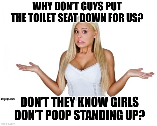 Blonde Girls Are Smarter Than You Think 2 | WHY DON’T GUYS PUT THE TOILET SEAT DOWN FOR US? DON’T THEY KNOW GIRLS DON’T POOP STANDING UP? | image tagged in blonde girl,bad jokes,dank memes,not funny,funny not funny,dark humor | made w/ Imgflip meme maker