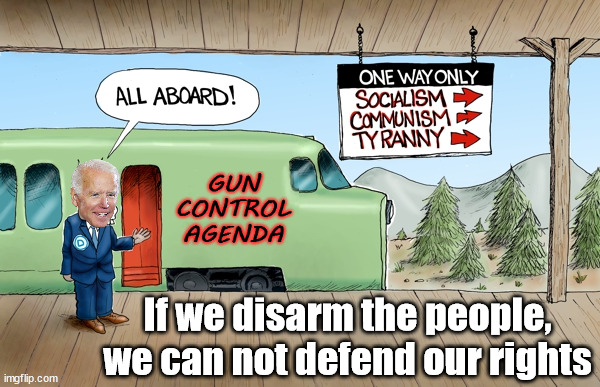 If we disarm the people, we can not defend our rights | image tagged in political meme | made w/ Imgflip meme maker