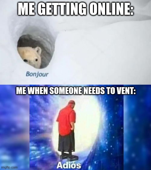 I don't know how to comfort them | ME GETTING ONLINE:; ME WHEN SOMEONE NEEDS TO VENT: | image tagged in bonjur adios | made w/ Imgflip meme maker