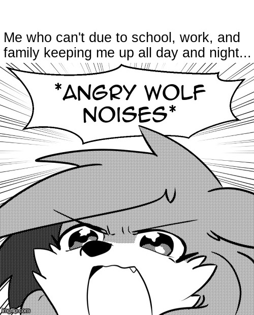 Angry wolf noises | Me who can't due to school, work, and 
family keeping me up all day and night... | image tagged in angry wolf noises | made w/ Imgflip meme maker