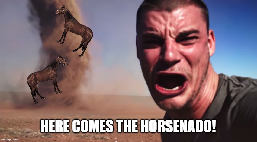YOU CAN GET YOUR ASS KICK TO CALIFORNIA, RUN! | HERE COMES THE HORSENADO! | image tagged in here it comes,tornado guy | made w/ Imgflip meme maker