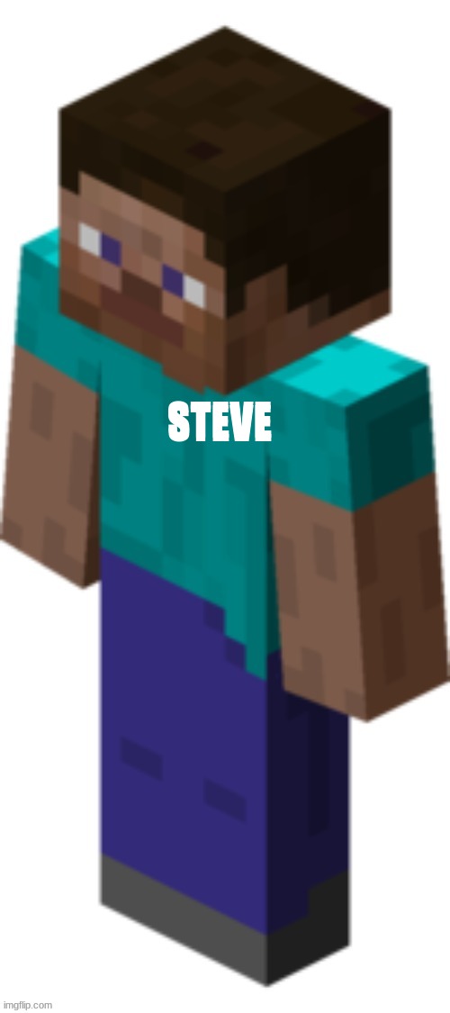 steve | STEVE; STEVE | image tagged in minecraft steve | made w/ Imgflip meme maker