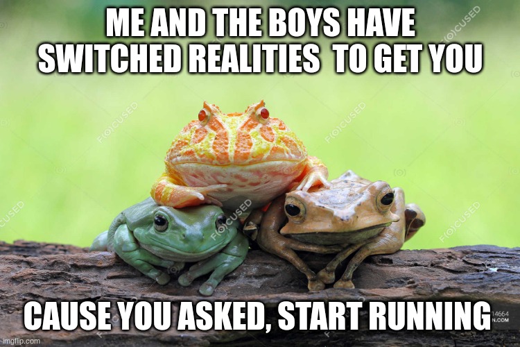 they're 20 meters from your location |  ME AND THE BOYS HAVE SWITCHED REALITIES  TO GET YOU; CAUSE YOU ASKED, START RUNNING | image tagged in frog,me and the boys,fun fact,meme | made w/ Imgflip meme maker