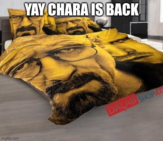 Breaking Bed | YAY CHARA IS BACK | image tagged in breaking bed | made w/ Imgflip meme maker
