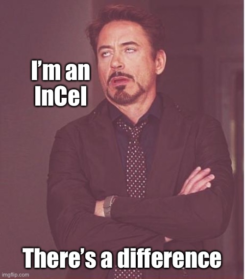 Face You Make Robert Downey Jr Meme | I’m an
InCel There’s a difference | image tagged in memes,face you make robert downey jr | made w/ Imgflip meme maker