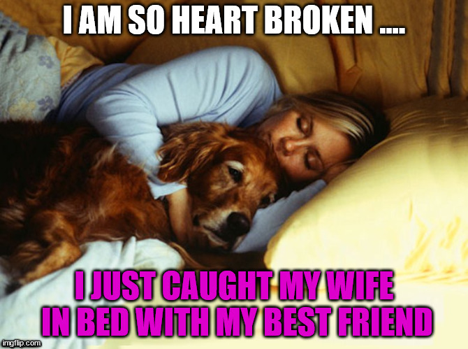 ............ | image tagged in dogs | made w/ Imgflip meme maker