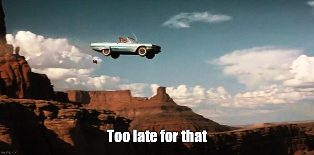 Thelma and Louise Airborne | Too late for that | image tagged in thelma and louise airborne | made w/ Imgflip meme maker