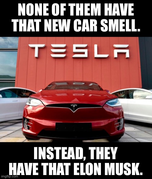 Tesla | NONE OF THEM HAVE THAT NEW CAR SMELL. INSTEAD, THEY HAVE THAT ELON MUSK. | image tagged in tesla | made w/ Imgflip meme maker