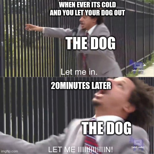 let me in | WHEN EVER ITS COLD AND YOU LET YOUR DOG OUT; THE DOG; 20MINUTES LATER; THE DOG | image tagged in let me in | made w/ Imgflip meme maker