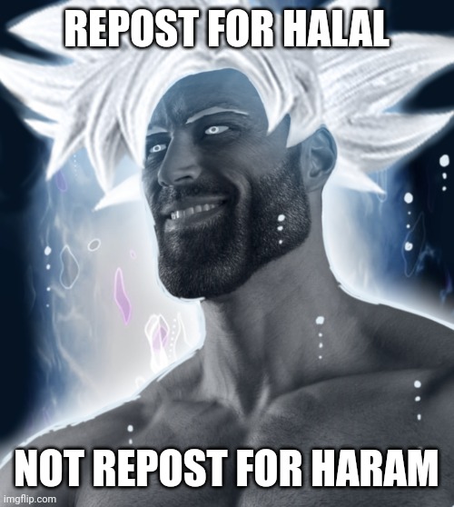 Ultra Instinct Gigachad | REPOST FOR HALAL; NOT REPOST FOR HARAM | image tagged in ultra instinct gigachad | made w/ Imgflip meme maker