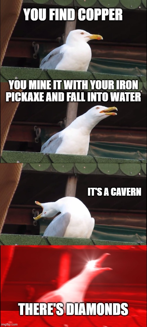 Ye Diamonds | YOU FIND COPPER; YOU MINE IT WITH YOUR IRON PICKAXE AND FALL INTO WATER; IT'S A CAVERN; THERE'S DIAMONDS | image tagged in memes,inhaling seagull | made w/ Imgflip meme maker