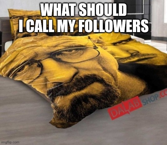 Breaking Bed | WHAT SHOULD I CALL MY FOLLOWERS | image tagged in breaking bed | made w/ Imgflip meme maker