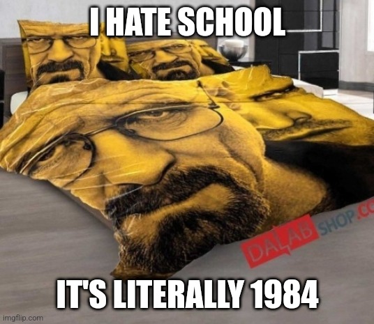 Breaking Bed | I HATE SCHOOL; IT'S LITERALLY 1984 | image tagged in breaking bed | made w/ Imgflip meme maker
