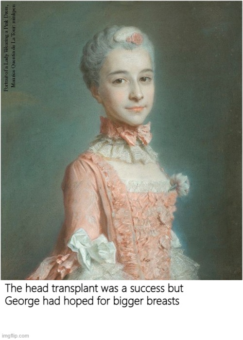 Pretty in Pink | image tagged in art memes,rococo,lgbtq,trans,portrait | made w/ Imgflip meme maker