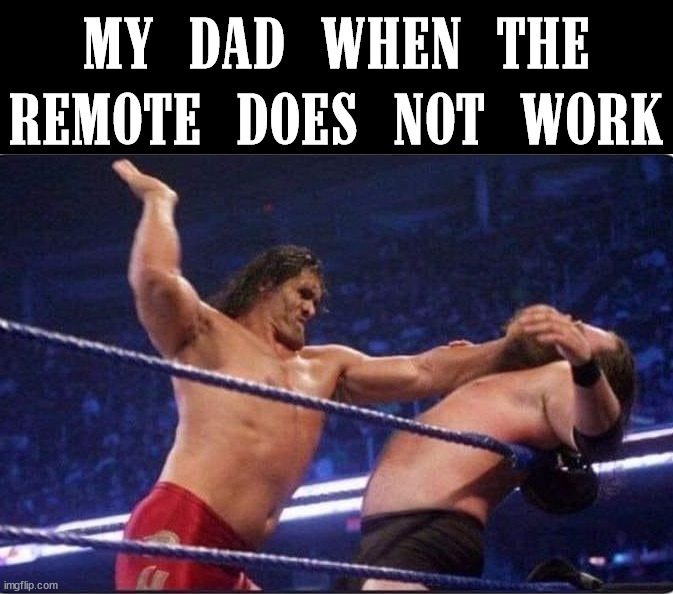 MY DAD WHEN THE REMOTE DOES NOT WORK | image tagged in remote control | made w/ Imgflip meme maker