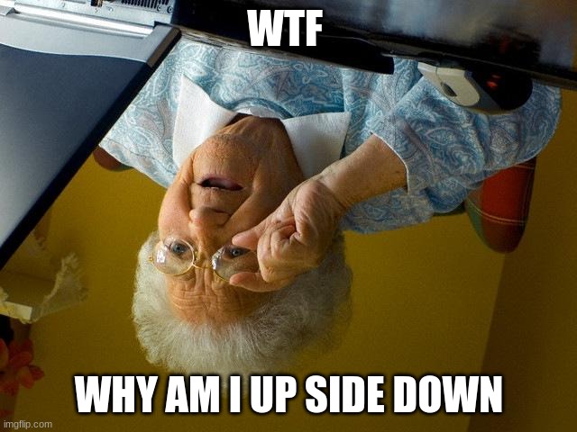 he he ha ha | WTF; WHY AM I UP SIDE DOWN | image tagged in memes,grandma finds the internet | made w/ Imgflip meme maker