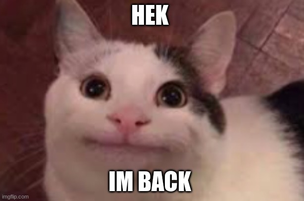 idk what his fo | HEK; IM BACK | image tagged in happy cat | made w/ Imgflip meme maker