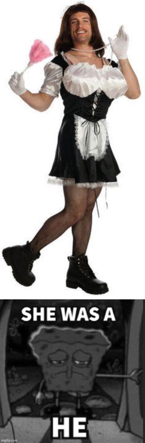 image tagged in french maid male,she was a he | made w/ Imgflip meme maker