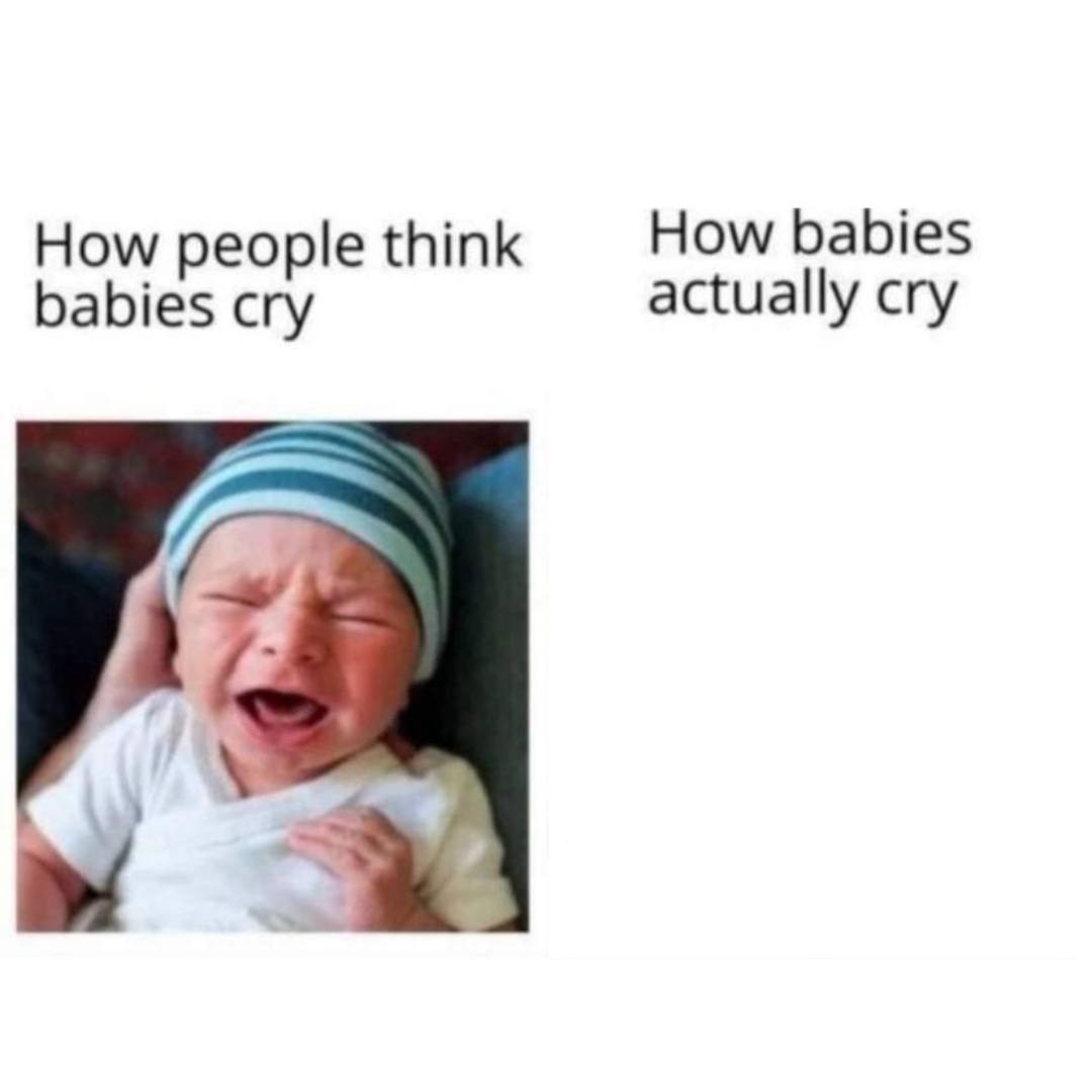 Babies cry Blank Meme Template