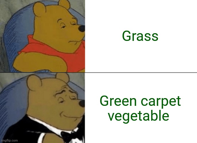 Grass | Grass; Green carpet vegetable | image tagged in memes,tuxedo winnie the pooh,joke,grass,vegetable,meme | made w/ Imgflip meme maker