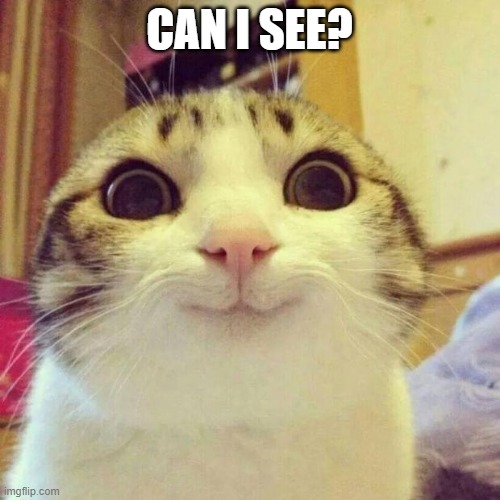 Smiling Cat Meme | CAN I SEE? | image tagged in memes,smiling cat | made w/ Imgflip meme maker