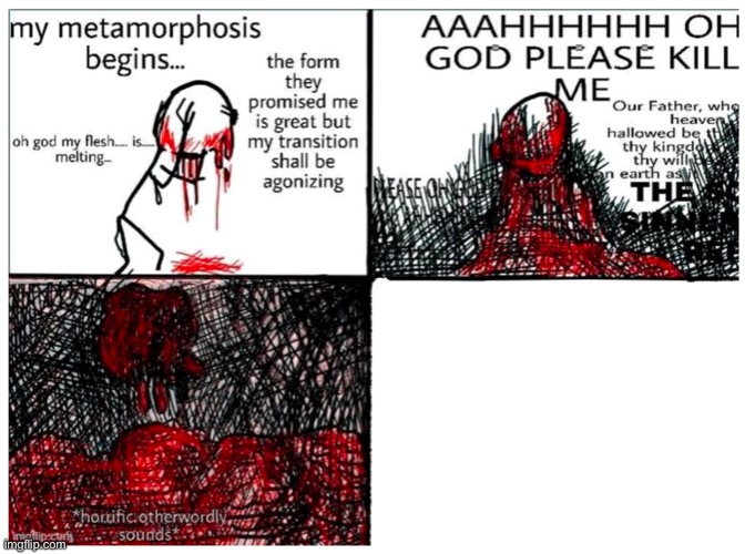 new template | image tagged in the metamorphosis | made w/ Imgflip meme maker