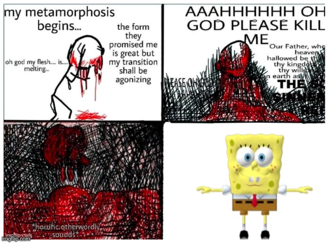 the metamorphosis | image tagged in the metamorphosis | made w/ Imgflip meme maker