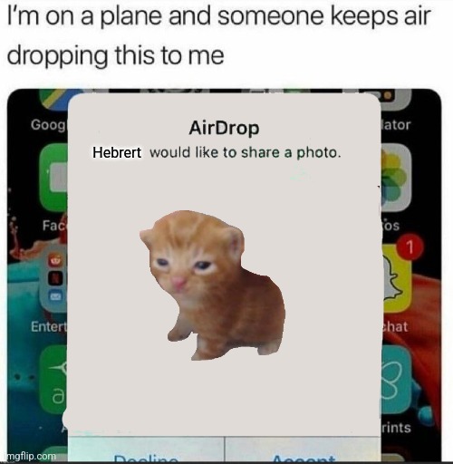 i'm on a plane and someone keeps air dropping this to me | Hebrert | image tagged in i'm on a plane and someone keeps air dropping this to me | made w/ Imgflip meme maker