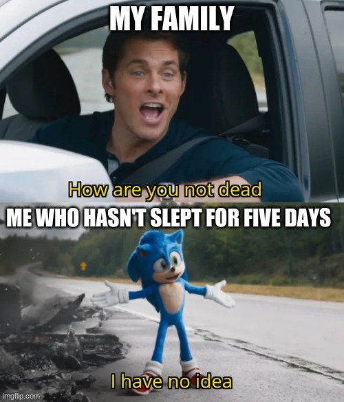 Sonic I have no idea | MY FAMILY; ME WHO HASN'T SLEPT FOR FIVE DAYS | image tagged in sonic i have no idea | made w/ Imgflip meme maker