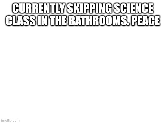 I'm skipping class | CURRENTLY SKIPPING SCIENCE CLASS IN THE BATHROOMS. PEACE | image tagged in blank white template | made w/ Imgflip meme maker