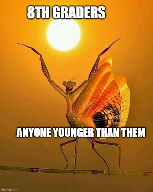 praying mantis stretching | 8TH GRADERS; ANYONE YOUNGER THAN THEM | image tagged in praying mantis stretching | made w/ Imgflip meme maker