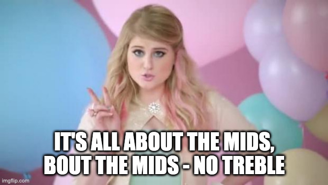All about the mids | IT'S ALL ABOUT THE MIDS, BOUT THE MIDS - NO TREBLE | image tagged in meghan trainor | made w/ Imgflip meme maker