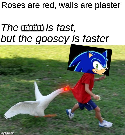 the_______is fast but________ is faster | HEDGEHOG | image tagged in the_______is fast but________ is faster | made w/ Imgflip meme maker