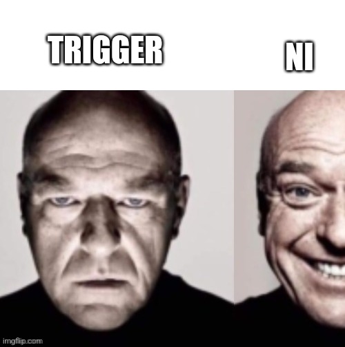 happy man cropped | NI; TRIGGER | image tagged in happy man cropped | made w/ Imgflip meme maker