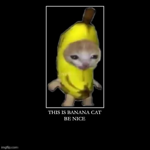 banna cat | THIS IS BANANA CAT
BE NICE | image tagged in banana cat | made w/ Imgflip meme maker