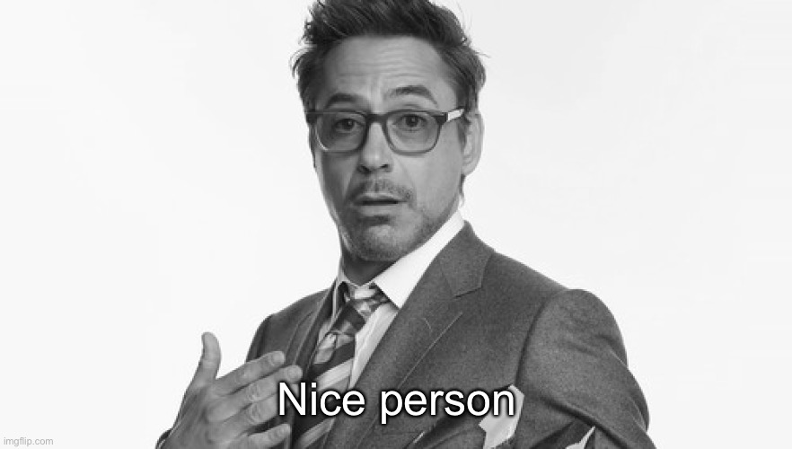 Robert Downey Jr's Comments | Nice person | image tagged in robert downey jr's comments | made w/ Imgflip meme maker
