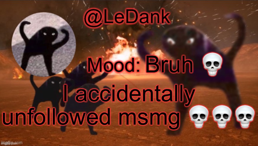 LeDank template | Bruh 💀; I accidentally unfollowed msmg 💀💀💀 | image tagged in ledank template | made w/ Imgflip meme maker