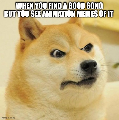 Confused Angery Doge | WHEN YOU FIND A GOOD SONG BUT YOU SEE ANIMATION MEMES OF IT | image tagged in confused angery doge | made w/ Imgflip meme maker